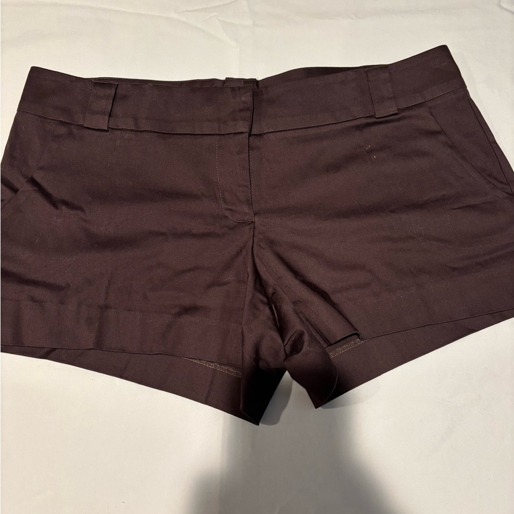 Arden B Brown High Waist Dress Shorts